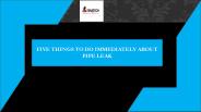 Five Things to do Immediately about Pipe Leak