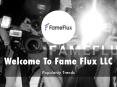 Information Presentation Of Fame Flux LLC PowerPoint PPT Presentation