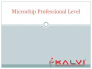 Microchip Professional Level