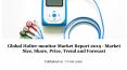 Global holter monitor market report 2019   market size, share, price, trend and forecast PowerPoint PPT Presentation