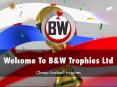 Information Presentation Of BW Trophies PowerPoint PPT Presentation
