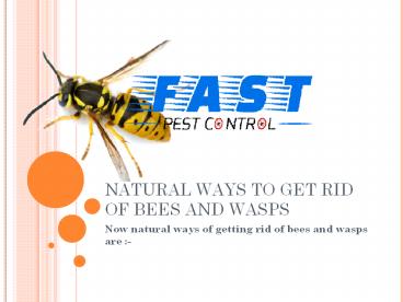 NATURAL WAYS TO GET RID OF BEES AND WASPS