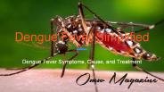 Dengue Fever Symptoms