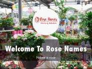Information Presentation Of Rose Names