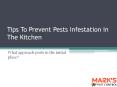 Tips To Prevent Pests Infestation In The Kitchen PowerPoint PPT Presentation