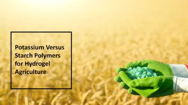 Potassium versus Starch Polymers for Hydrogel Agriculture