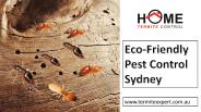 Eco-Friendly Pest Control Sydney