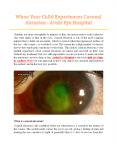 When Your Child Experiences Corneal Abrasion - Arohi Eye Hospital (2) PowerPoint PPT Presentation