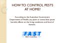 HOW TO CONTROL PESTS AT HOME? PowerPoint PPT Presentation