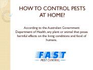 HOW TO CONTROL PESTS AT HOME?