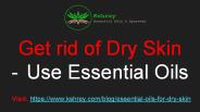 Best Essential Oils for Dry Skin
