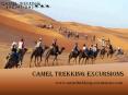 Camel Trekking Excursions PowerPoint PPT Presentation