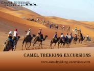 Camel Trekking Excursions