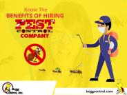 Pest Control in Buffalo NY - Bugg Control, Inc.