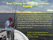 Best Timing for Alabama Inshore Fishing