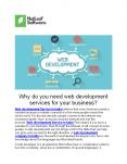 Why do you need web development services for your business? PowerPoint PPT Presentation