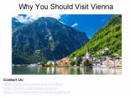Why You Should Visit Vienna