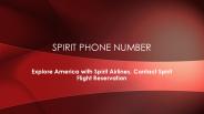 Explore America with Spirit Airlines, Contact Spirit Flight Reservation