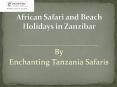African Safari and Beach Holidays in Zanzibar - Book Now PowerPoint PPT Presentation