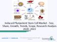 Induced Pluripotent Stem Cell Market Future Opportunity Assessment 2022 PowerPoint PPT Presentation