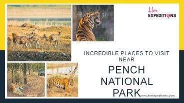 Incredible Places To Visit Near Pench National Park