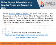 Natural Rubber Market (1)