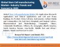 Stem Cell manufacturing Market (1) PowerPoint PPT Presentation