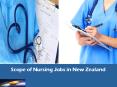 Best & Free Method to Find Nursing Job in Newzealand PowerPoint PPT Presentation