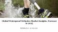 Global waterproof orthotics market insights, forecast to 2025 PowerPoint PPT Presentation