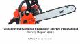 Global petrol gasoline chainsaws market professional survey report 2019 PowerPoint PPT Presentation
