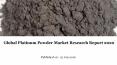 Global platinum powder market research report 2020 PowerPoint PPT Presentation