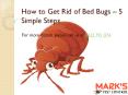 How to Get Rid of Bed Bugs – 5 Simple Steps PowerPoint PPT Presentation