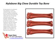 Nylabone Big Chew Durable Toy Bone