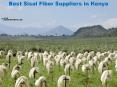 Best Sisal Fiber Suppliers in Kenya PowerPoint PPT Presentation