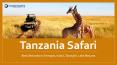 Tanzania Safari - Best Destinations Serengeti, Ngorongoro, Tarangire, Lake Manyara PowerPoint PPT Presentation