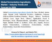 Fermentation Ingredients Market