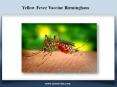 Yellow Fever Vaccine Birmingham PowerPoint PPT Presentation