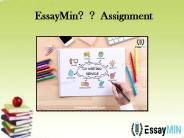 EssayMin代做Assignment