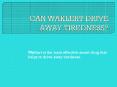 CAN WAKLERT DRIVE AWAY TIREDNESS? PowerPoint PPT Presentation