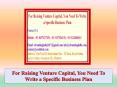 For Raising Venture Capital, You Need To Write a Specific Business Plan PowerPoint PPT Presentation