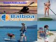Newport Paddle Boarding PowerPoint PPT Presentation