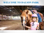 Horse Riding Lessons