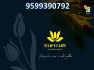 Tulip Yellow Sector 69 Gurgaon