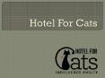 Hotel For Cats PowerPoint PPT Presentation