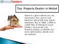 Top Property Dealers in Mohali - Good Dealers (1)