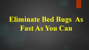Bed Bugs Services Singapore