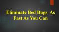 Bed Bugs Services Singapore PowerPoint PPT Presentation