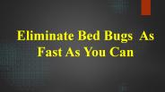 Bed Bugs Services Singapore