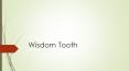 Wisdom Teeth (1) PowerPoint PPT Presentation