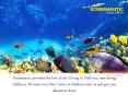 Who Offer Best Services For Beginners To Scuba Diving? PowerPoint PPT Presentation